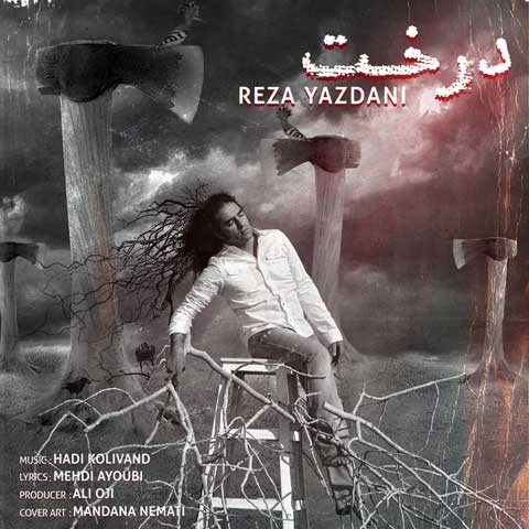 reza yazdani derakht 2023 06 02 21 35