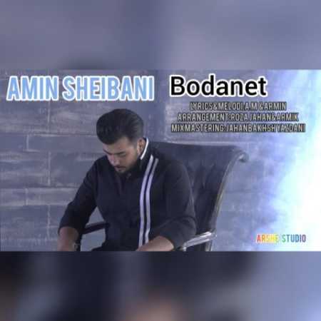 amin sheibani bodanet 2023 10 09 20 30