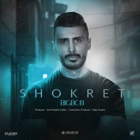 bigbob shokret 2023 12 10 14 30