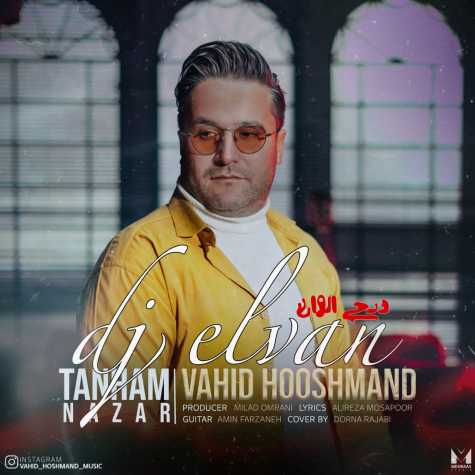 vahid hooshmand tanham nazar dj elvan remix 2024 01 21 11 25