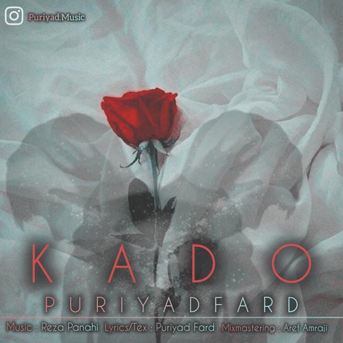 pouriyad fard kado 2024 02 20 14 10