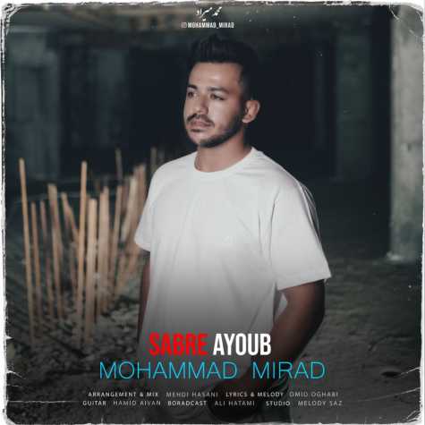 mohammad mirad sabre ayoob 2024 06 29 19 14