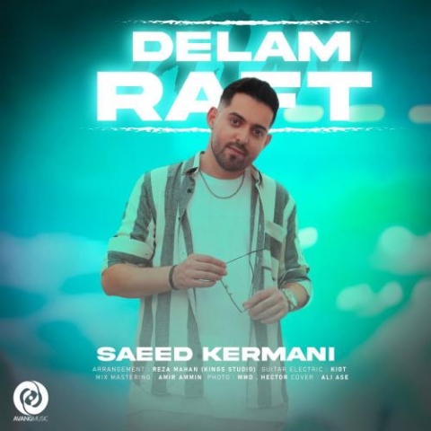 saeed kermani delam raft 2024 06 10 18 04