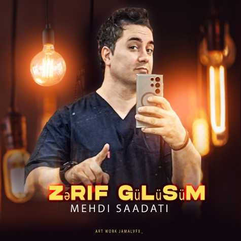 mehdi saadati zerif gulusum 2024 08 28 16 52