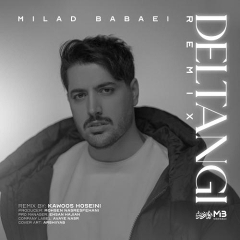 milad babaei deltangi remix 2024 08 28 17 25