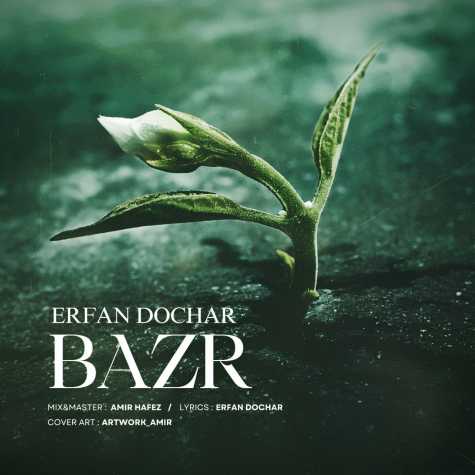 erfan dochar bazr 2024 10 13 08 25