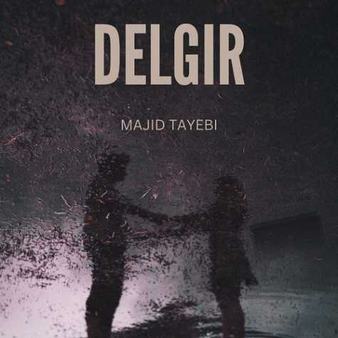 majid tayebi delgir 2024 11 29 10 20