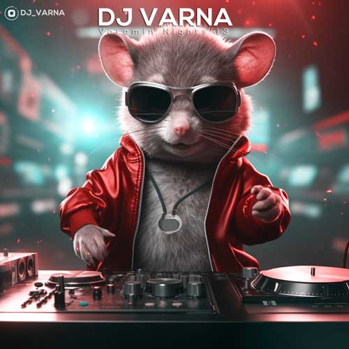 dj varna varamin nights 14 2024 12 05 18 45