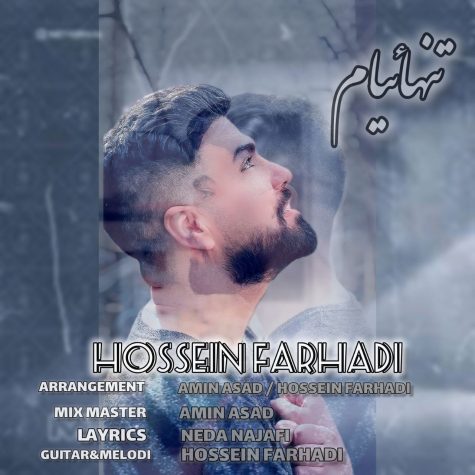 hossein farhadi tanhaeiyam 2024 12 31 14 35