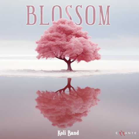 koli band blossom 2025 02 11 08 55